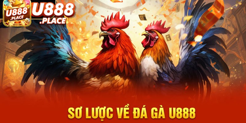 Đá gà U888 - Sân chơi lý tưởng cho tín đồ mê cược