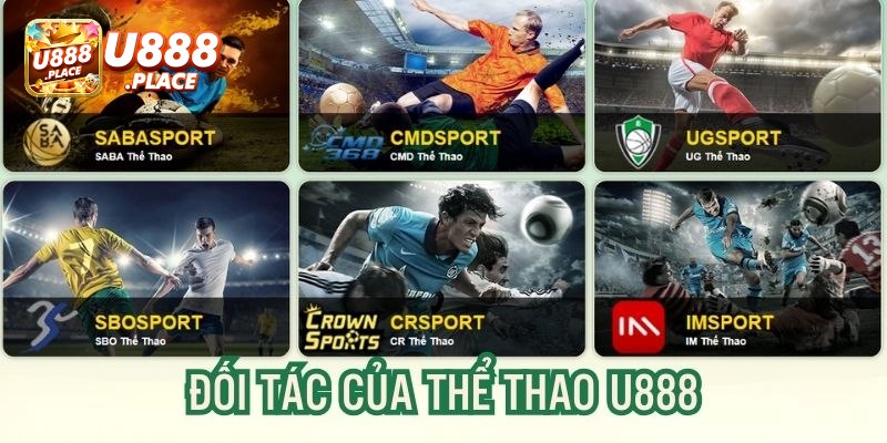 Các sảnh cược thể thao nổi bật tại nhà cái U888