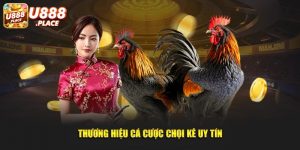 Thương hiệu cá cược chọi kê uy tín 